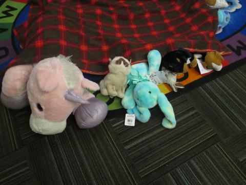 Stuffed Animals sleeping in the library